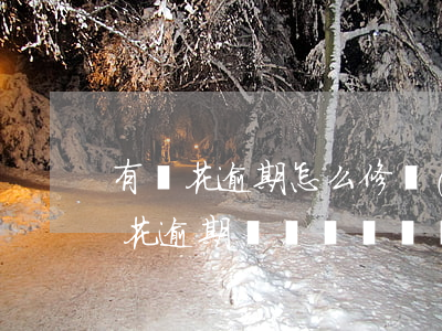 有錢花逾期怎么修復(fù)，如何解決有錢花逾期問題？實用修復(fù)方法分享